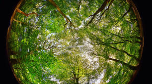 Module 4. Mother Nature (New Destinations B1)