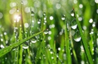 040045e6-eb37-187x122.png