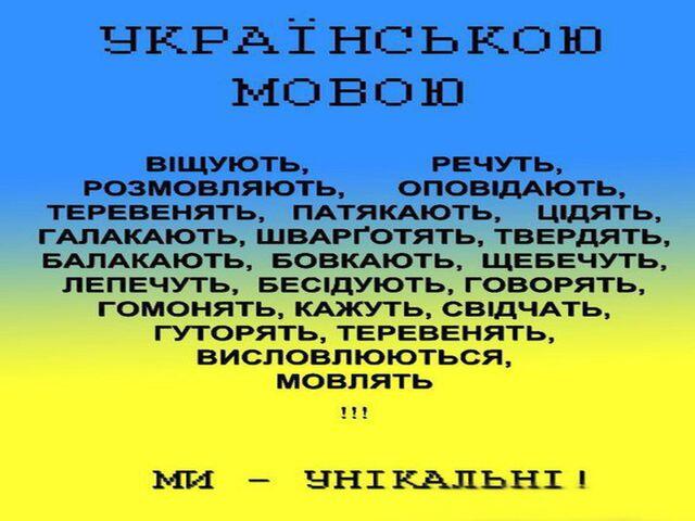 040045r1-b6e7-640x480.jpg