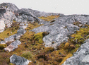 040049xa-21c8-126x92.gif