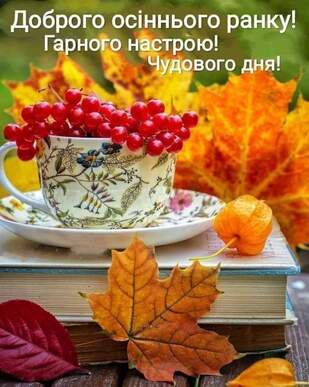 04004d3d-9c31-309x387.jpg