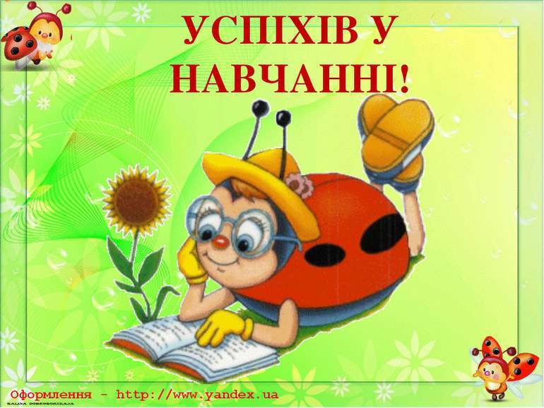 04004d3t-5dd2-770x577.jpg
