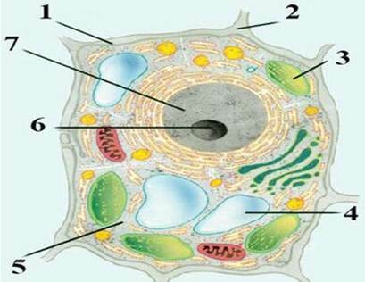 04004e6v-9a2b-409x316.jpg