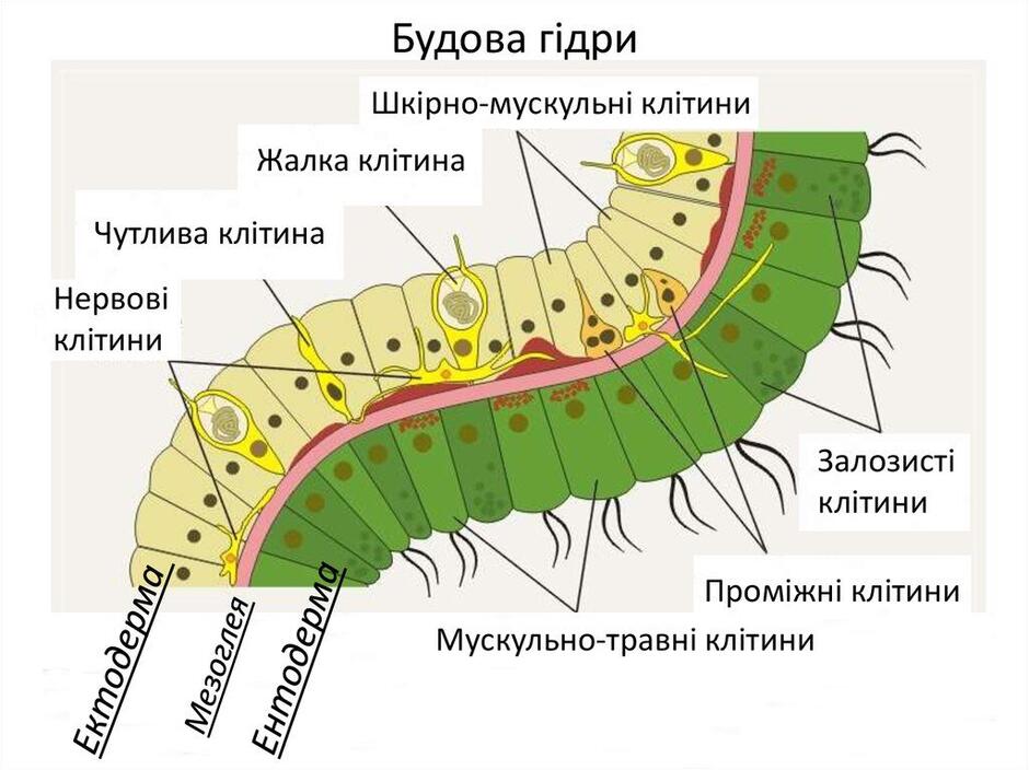 04004h82-6f81-940x704.jpg