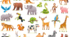 Animals