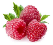 04004l9o-89c5-180x152.png