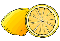 04004lgl-669b-202x140.png