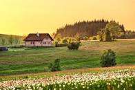 Картинки по запросу картинка фотографія місцевості