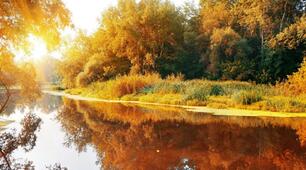 Людина і природа - єдині. НУШ. Продовження.