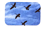 04004t9c-9017-149x99.png