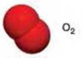 04004tbq-5f63-119x83.png