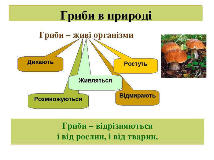 04004vbt-c07c-700x525.jpg
