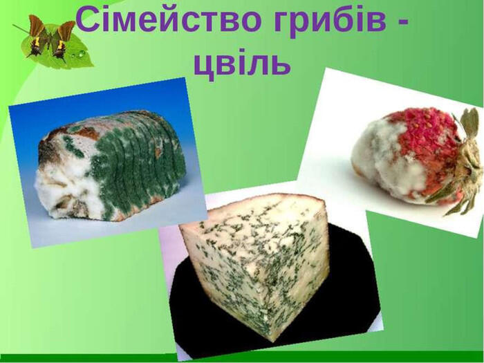 04004vd0-d9e6-700x525.jpg