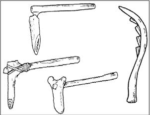04004x1l-8433-302x232.jpg