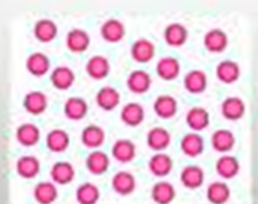 04004yip-c265-508x401.png