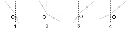 0400500v-77d5-537x121.png