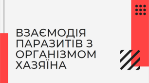 Адаптації паразитів до мешкання в організмі хазяїна. Відповідь організму хазяїна на оселення паразитів.
