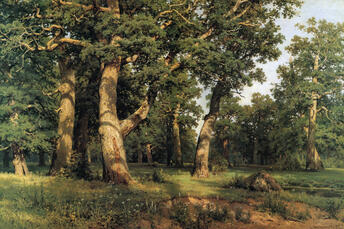 0400507i-e8e0-940x626.jpg