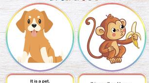 "Animals Riddles" - Картки - поєднання текстів та зображень