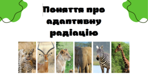 Поняття про адаптивну радіацію