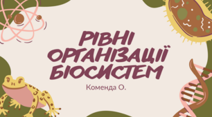 Презентація на тему "Рівні організації біосистем"