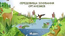 Середовища існування організмів