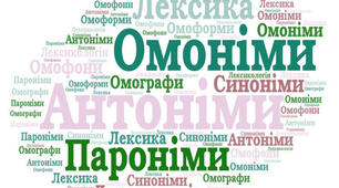 Професійні слова і терміни, просторічні слова, пароніми (практично)