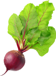 Свекла PNG