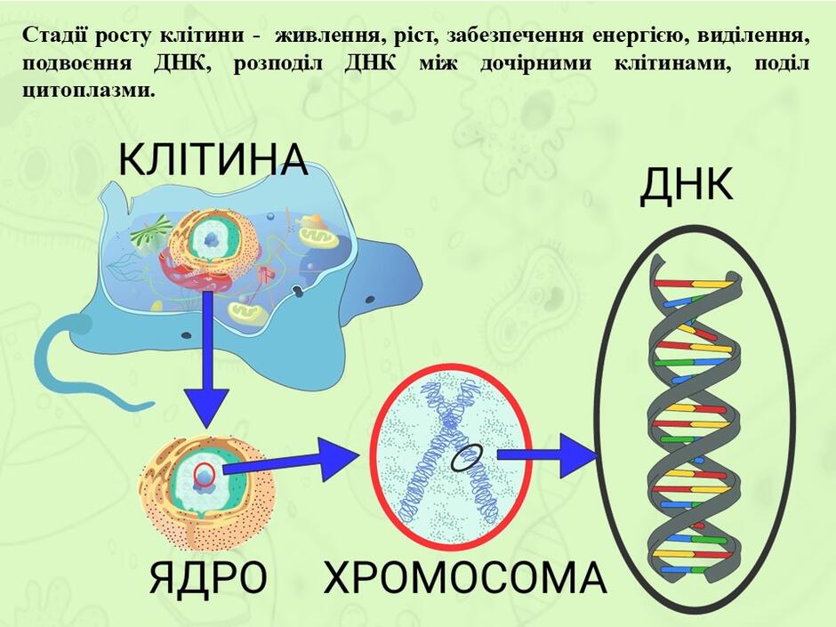 04005ehz-18ae-940x705.jpg