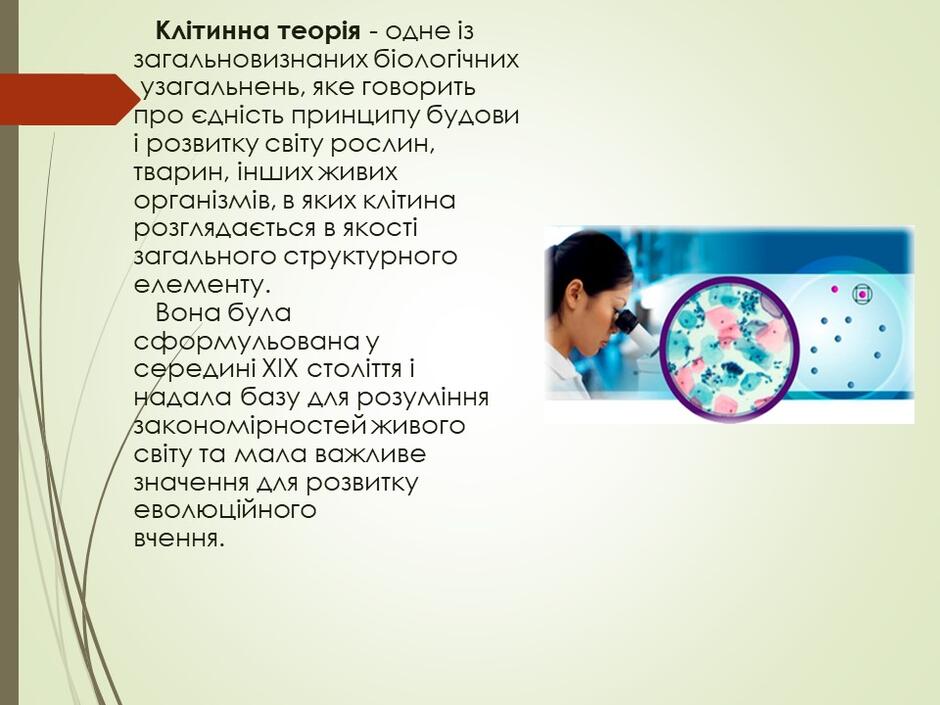 04005es7-b558-940x705.jpg