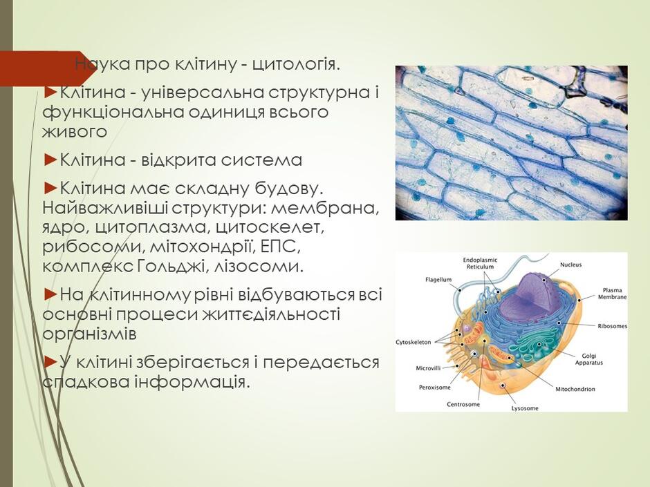 04005esa-1acb-940x705.jpg