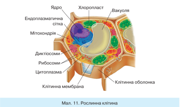 04005j7b-ceb7-582x347.png