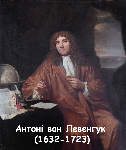 04005jfe-7c48-510x608.png