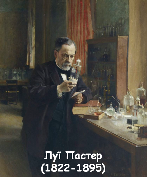 04005jfu-cba7-510x611.png