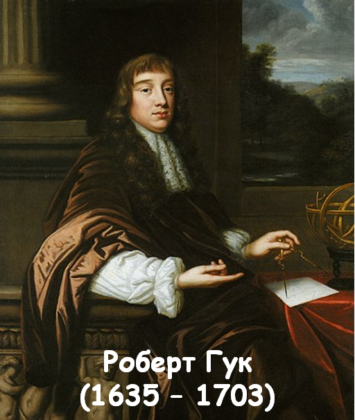04005jg3-7c9d-512x607.png