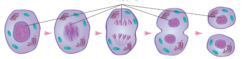 04005jgo-0766-822x199.png