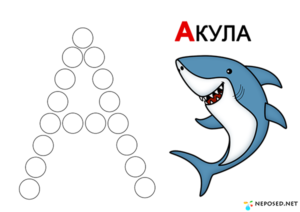 04005k0b-f409-600x424.png