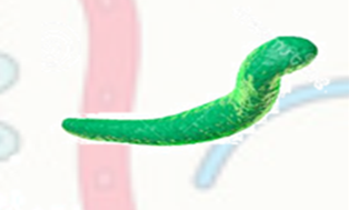 04005kli-2c17-314x189.png