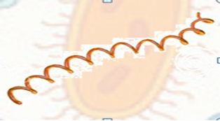04005km3-7399-314x173.png