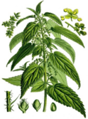 04005mv9-e604-124x167.png