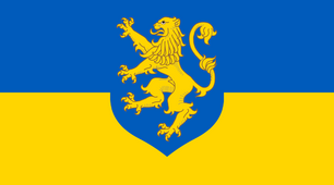 Презентація "Проголошення ЗУНР. Польсько-українсько війна. Український національний рух на Закарпатті та Буковині"
