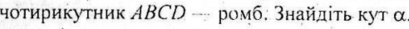 04005rxo-f6d3-409x29.png