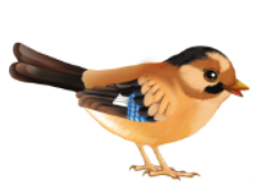 04005u1i-0baa-230x167.png