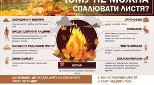 Матеріал Акція "Жовте листя"