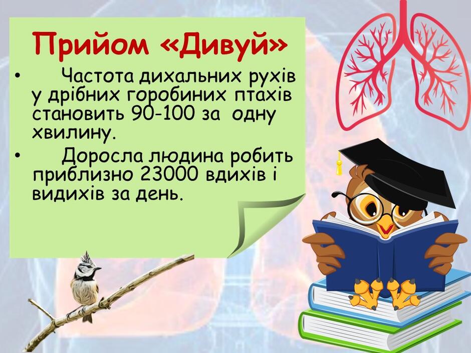 04006041-2161-940x705.jpg