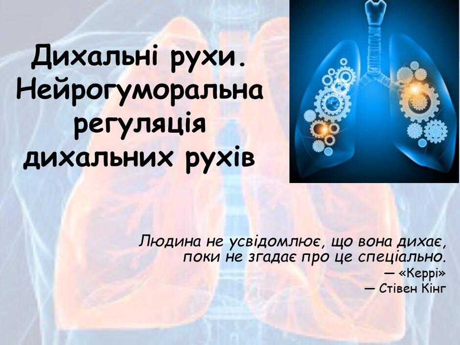 04006042-560b-940x705.jpg