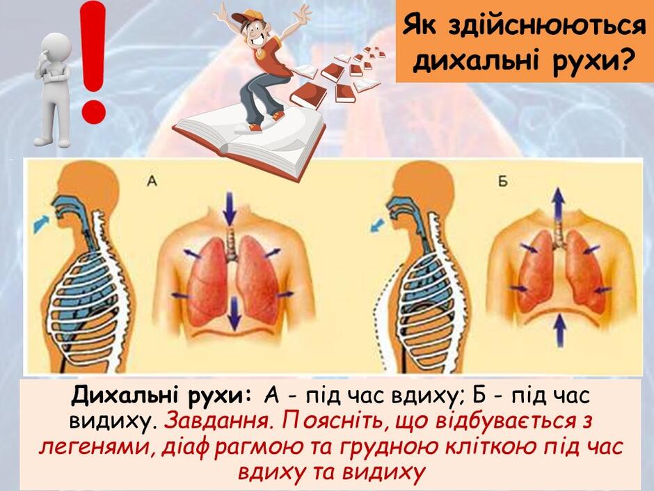 04006047-8914-940x705.jpg