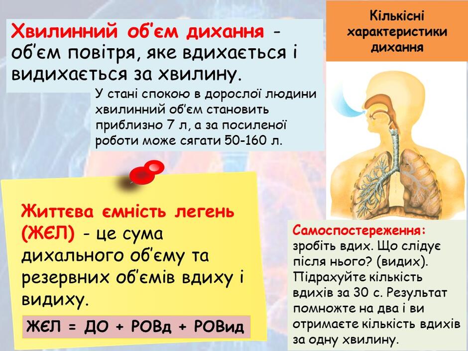 0400604f-774b-940x705.jpg