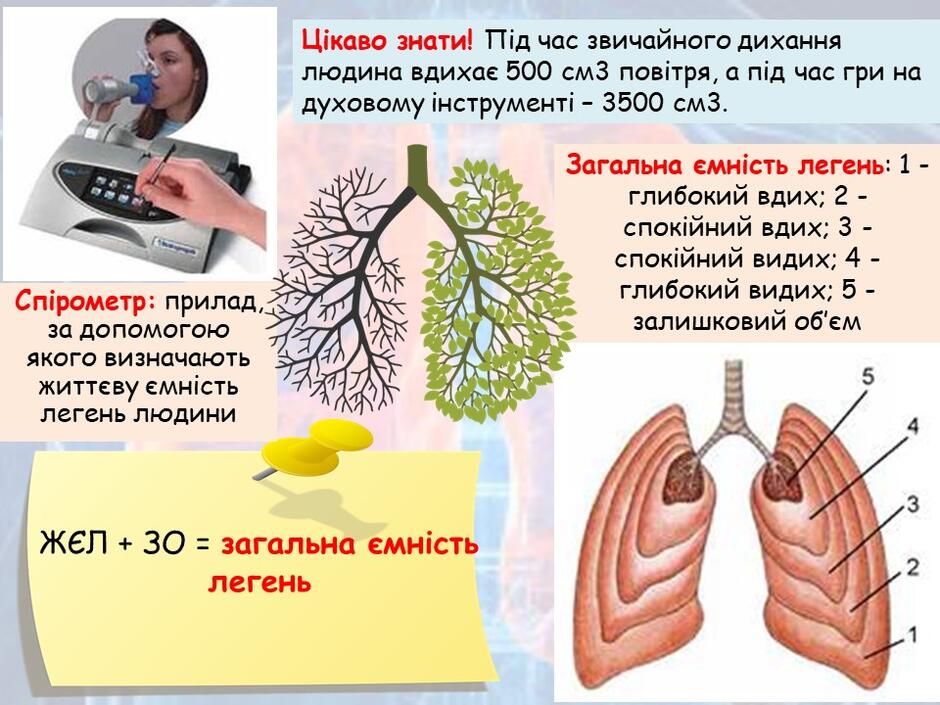 0400604g-d3d5-940x705.jpg