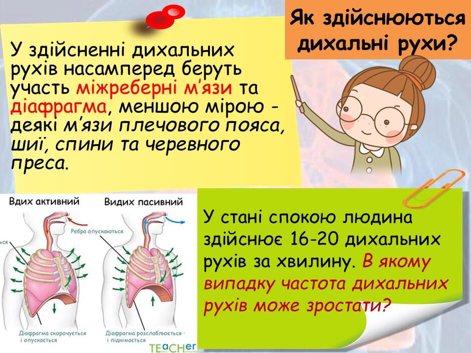0400604h-618e-940x705.jpg